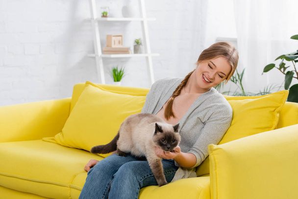 Mujer positiva mirando a gato siamés en sala de estar  - Foto, Imagen