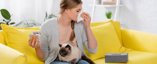 Young woman holding blisters with pills during allergy snuffle near siamese cat, banner  - Valokuva, kuva