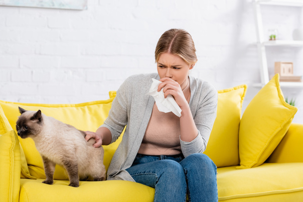 Young woman suffering from allergy near siamese cat on couch in living room  - Photo, Image