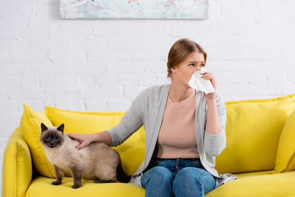 Giovane donna che soffre di allergia snuffle vicino al gatto siamese  - Foto, immagini