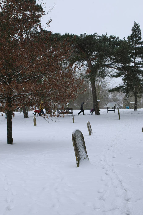 Sněhem pokrytá krajina ve Wymondhamském opatství v Norfolku Východoanglijský hřbitov s kamennou trávou a stromy pokrytými bílou vrstvou v mrazivém počasí Zima během roku 2021 uzamčení ohniska covid-19 - Fotografie, Obrázek