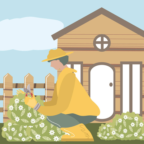 home garden, gardener with scissors trimming flowers in front of the house - Vector, Image