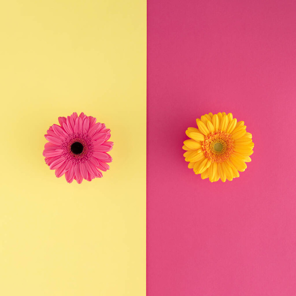 Мінімальна квіткова концепція з рожевих і жовтих квітів на фоні. Плоский прошарок
. - Фото, зображення