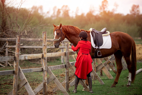乗馬スポーツ女性のジョッキーは、屋外で馬を保持する - 写真・画像