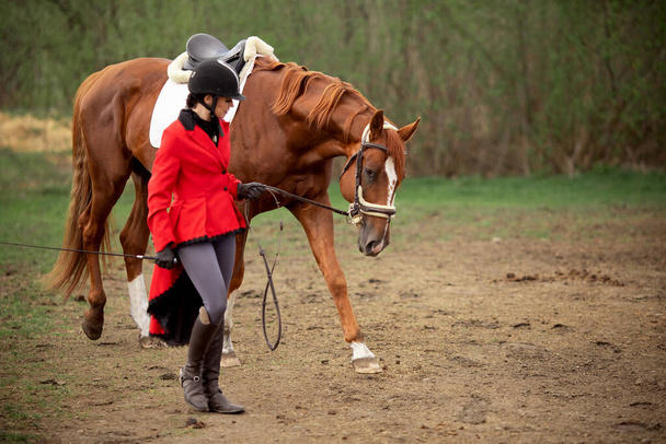 茶色の馬と美しい女性ジョッキーライダー屋外 - 写真・画像
