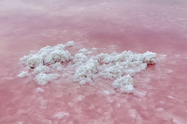 różowe jezioro piękne białe kryształy soli na różowym tle wody ładne tło - Zdjęcie, obraz