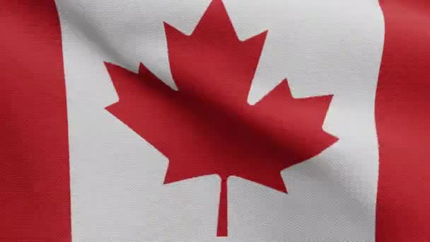 3D ilustrace Kanadská vlajka vlnící se ve větru. Detailní záběr Kanady banner foukání, měkké a hladké hedvábí. Textilní textura podporučík pozadí. Použijte ji pro národní den a venkovské příležitosti koncept-Dan - Záběry, video