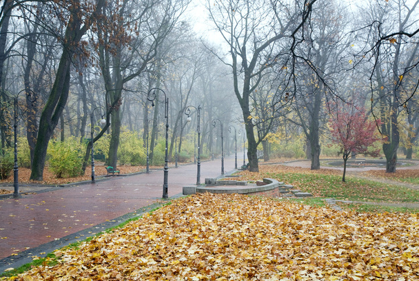 Autumn park - Foto, Bild