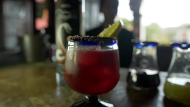 Bebida alcohólica roja en copa de vidrio junto a una botella de mezcal - Imágenes, Vídeo