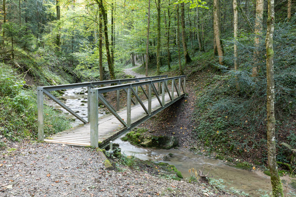steelwood bridge in deep green forest crossing a river, long exposure photo to show the flow of the water, daytime in cloudy weather, the water is low, it has not rained for a long time - Photo, Image