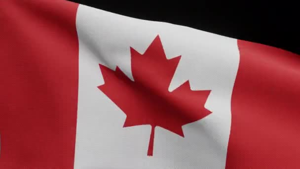3Dイラスト風に揺れるカナダ国旗のアルファチャンネル。カナダのバナーを吹いて、柔らかく滑らかな絹。布生地の質感が背景を刻印。ナショナルデーや国の行事のためにそれを使用-ダン - 映像、動画