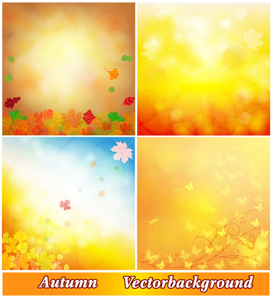 Autumn background collection - Vector, Image