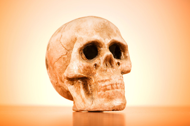 Crânio de humano contra o fundo gradiente
 - Foto, Imagem