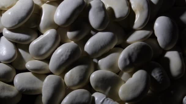 生の白豆の回転 - 映像、動画