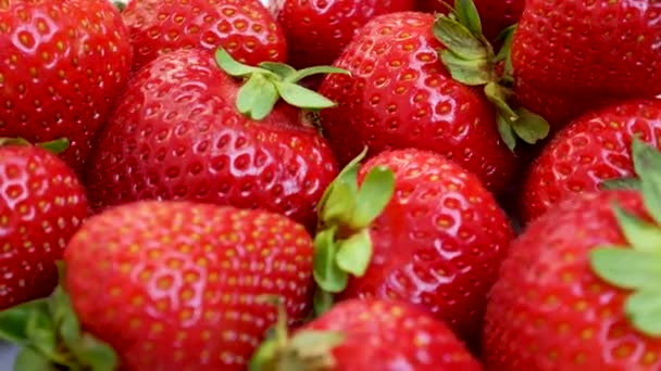 Zralé letní čerstvé jahody - Záběry, video