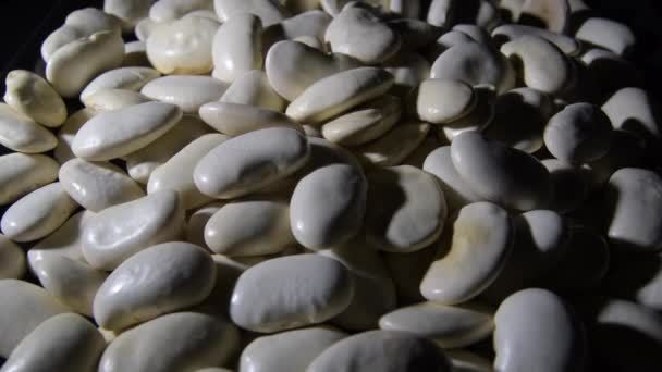 白い豆の山の回転 - 映像、動画