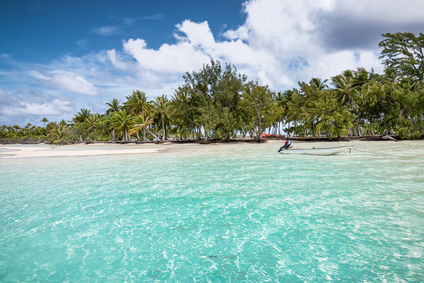 Fakaravan saaren atolli pienellä ankkuroidulla veneellä kauniilla palmurannalla Ranskan Polynesiassa. - Valokuva, kuva