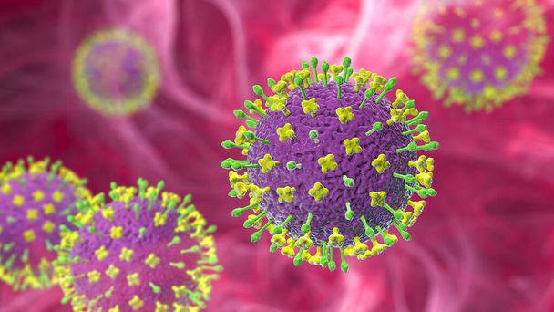 Nipah-virus, uusi lepakkovirus, joka aiheuttaa akuutin hengitystiesairauden ja vaikean enkefaliitin, 3D-kuva - Valokuva, kuva