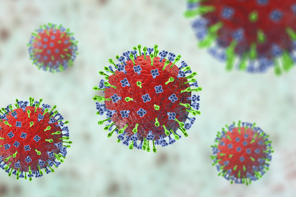 Вирус Hendra, вирус, переносимый летучими мышами, связанный с крайне смертельной инфекцией у лошадей и людей, трехмерная иллюстрация - Фото, изображение