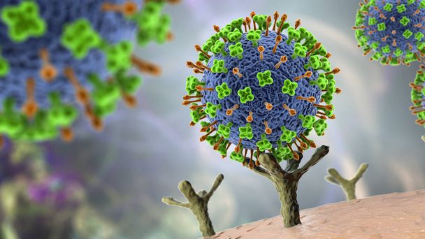 Virus Nipah recettori leganti sulle cellule umane, una fase iniziale di infezione Nipah. Un virus di nuova nascita pipistrello-borne che provoca malattie respiratorie acute ed encefalite grave, illustrazione 3D - Foto, immagini
