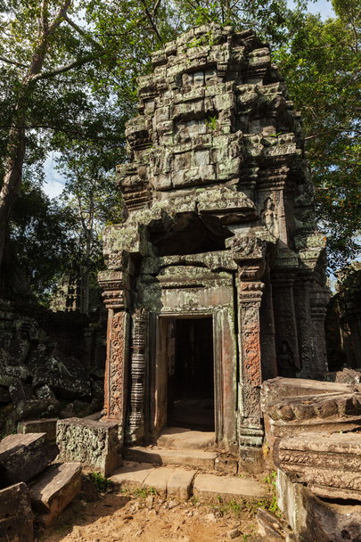 Древние руины и корни деревьев, Храм Та Прома, Ангкор, Камбоджа  - Фото, изображение