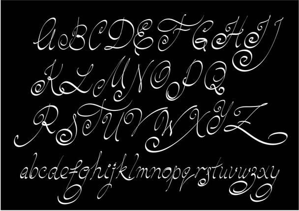 Vector free hand calligraphic alphabet - Vector, Image