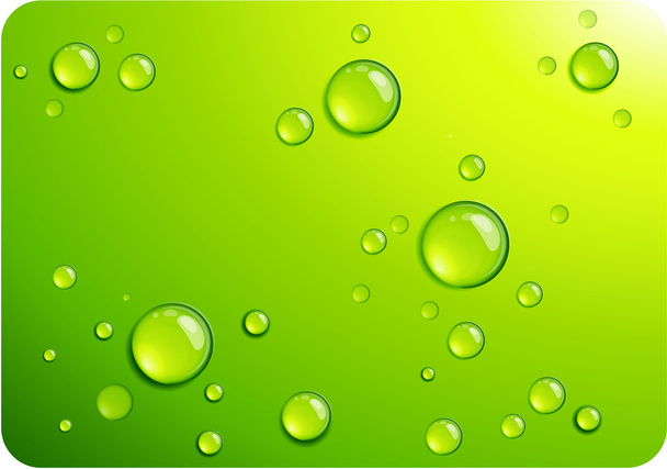 klare grüne Wassertropfen - Vektor, Bild