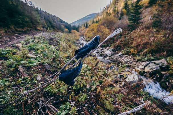 Pták stojící na skalnatém kopci - Fotografie, Obrázek