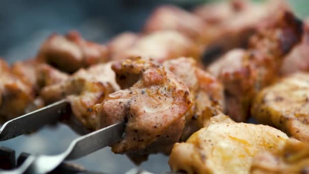 Shashlik ou shish kebab se préparant sur la grille du barbecue sur le charbon de bois chaud. Morceaux de viande de porc grillés sur brochettes métalliques. - Séquence, vidéo