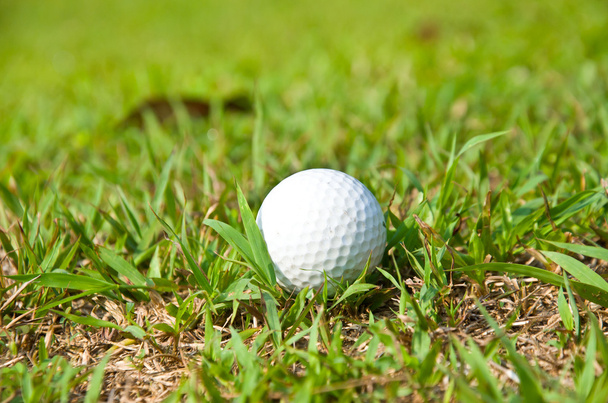 staré golfový míček - Fotografie, Obrázek
