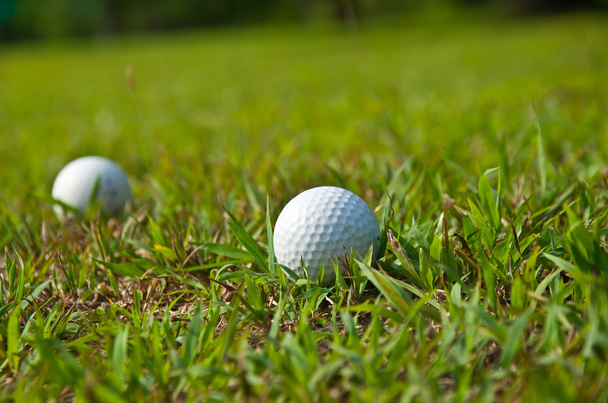Vecchia palla da golf
 - Foto, immagini