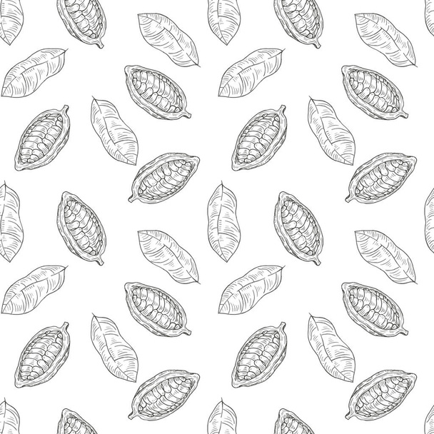 Nahtloses Muster mit Kakaobohnen im Retro-Vintage-Stil von Hand gezeichnet, Skizzen, graviert. Vereinzelt auf weißem Hintergrund. Moderne Vektorillustration. - Vektor, Bild
