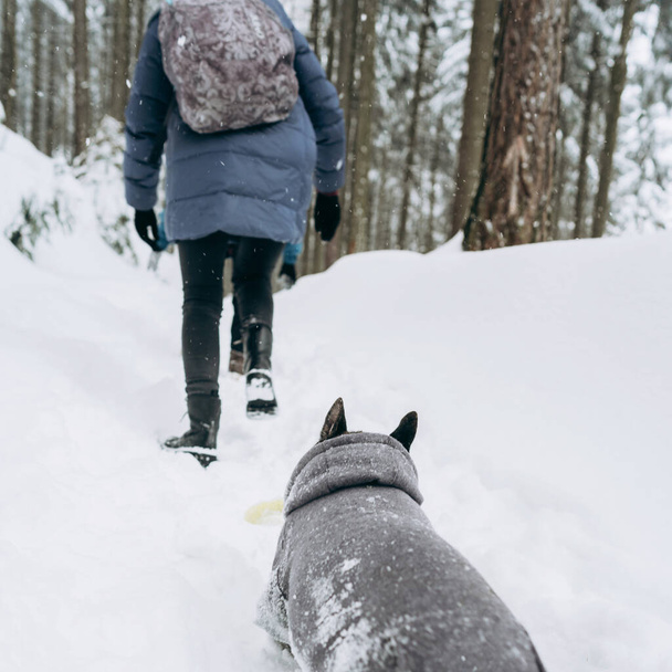 Eine Gruppe von Freunden mit ihrem Hund bei einer Winterwanderung. Aktive Familienurlaube während der Weihnachtsfeiertage. Der winterliche Lebensstil. Individuelle Winterabenteuer. Gesunder Frühstück.Lokale Reisen - Foto, Bild
