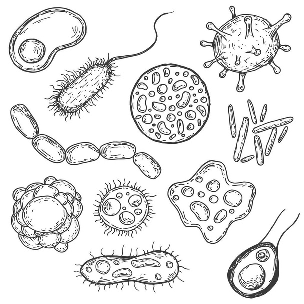 Formavírus, sejt, baktérium vagy mikrobe készlet kézzel rajzolt vintage stílusban. Retro vektor illusztráció elszigetelt fehér háttér. - Vektor, kép