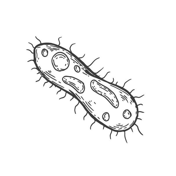 Форма вируса, клетки, бактерии или микробы в ручной рисованной винтажный стиль. Ретро-векторная иллюстрация на белом фоне. - Вектор,изображение