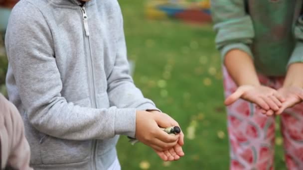 Close up view of little child girl with friends hold in hands and release into wild small yellow scared tit bird. Kid taking care and protect wild animal. Environmental protection concept - Metraje, vídeo