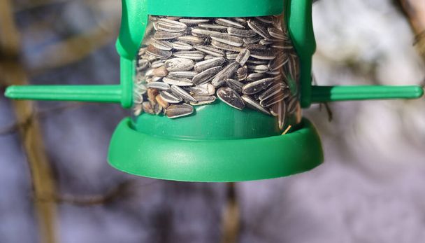 Close-up and detailed view of a feeding station for birds with sunflower seeds and a perch for the animals to sit on - Photo, Image