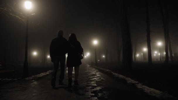 Πίσω όψη ενός ζευγαριού με τα πόδια σε ένα ομιχλώδες πάρκο της πόλης νύχτα - Πλάνα, βίντεο