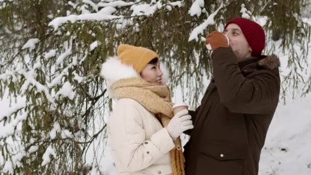 Medio de pareja romántica multiétnica bebiendo bebidas calientes de copas de papel, de pie bajo un pino cubierto de nieve. Escurridizo caucásico novio temblando rama, nieve cayendo en asiático novia - Imágenes, Vídeo