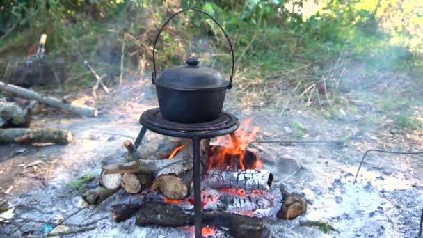 szabadtéri főzés a természetben - Felvétel, videó