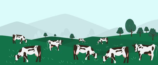 Vaches cultivant sur prairie verte concept d'entreprise agricole. Veaux mangeant de l'herbe fraîche. Illustration vectorielle des champs animaux ruraux. Bannière de l'industrie des éleveurs bovins. - Vecteur, image