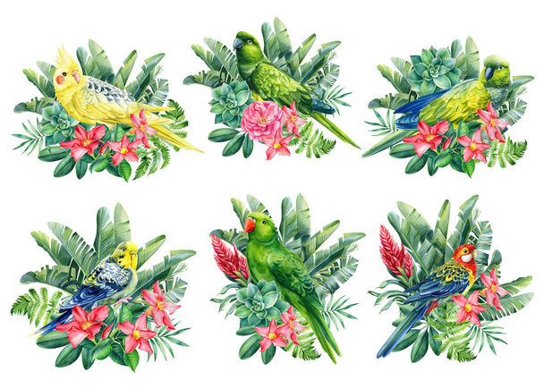 Set with parrot, flowers and palm leaves, summer print, watercolor botanical painting - Photo, Image