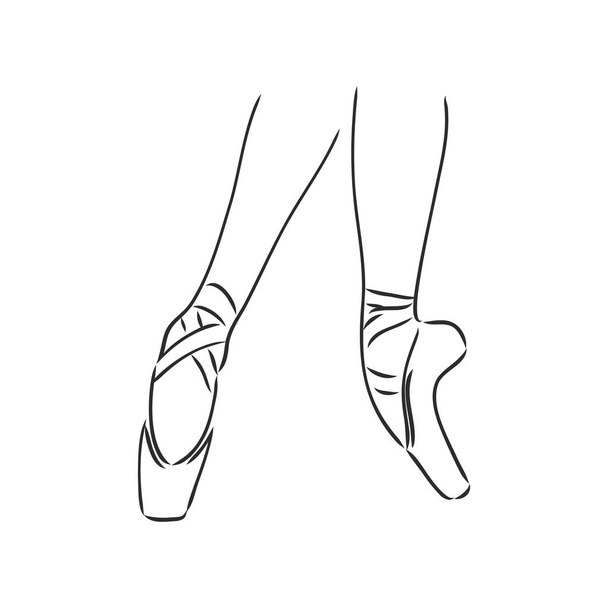 Zapatos puntiagudos. Zapatos de ballet. Ilustración dibujada a mano vectorial. Símbolo del estudio de danza de ballet. zapatos de punta, dibujo vectorial sobre un fondo blanco - Vector, imagen