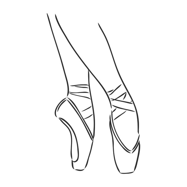 Zapatos puntiagudos. Zapatos de ballet. Ilustración dibujada a mano vectorial. Símbolo del estudio de danza de ballet. zapatos de punta, dibujo vectorial sobre un fondo blanco - Vector, imagen