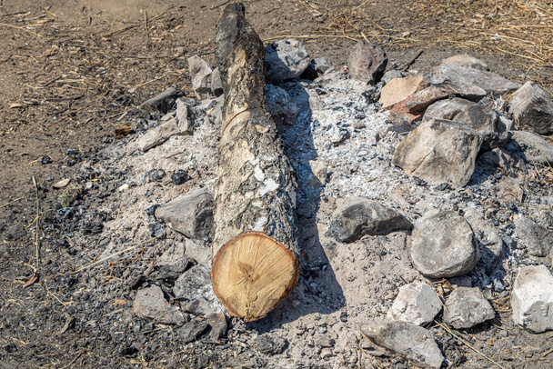 As pedras grandes Cinza e marrom e tronco de vidoeiro de uma fogueira estão em uma lareira na floresta - Foto, Imagem