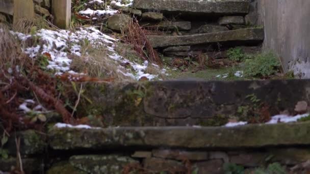 Rickety viejos pasos de la cabaña hecha de piedra - Metraje, vídeo