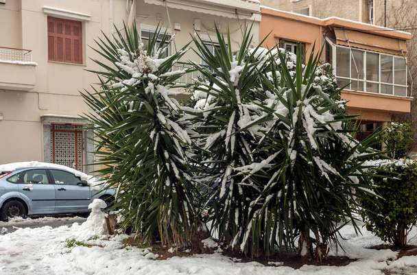 Зимняя улица в городе Афинах (Греция, район Коридаллос) с редким выпавшим снегом в холодный, февральский день - Фото, изображение