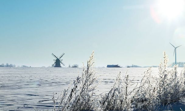 Almanya 'nın Saerbeck Sinningen kentindeki iklim topluluğunda tarihi bir rüzgar değirmeniyle karlı kış manzarası  - Fotoğraf, Görsel