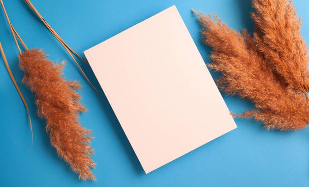 Top view white blank paper mock up with dry reeds - Photo, Image