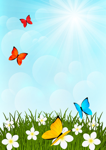 Prado ensolarado com borboletas de cor
 - Vetor, Imagem